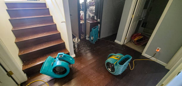 Best Mold removal after water damage  in South Windham, CT
