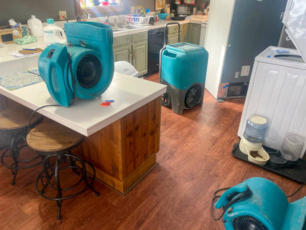 Best Residential water damage restoration  in South Windham, CT
