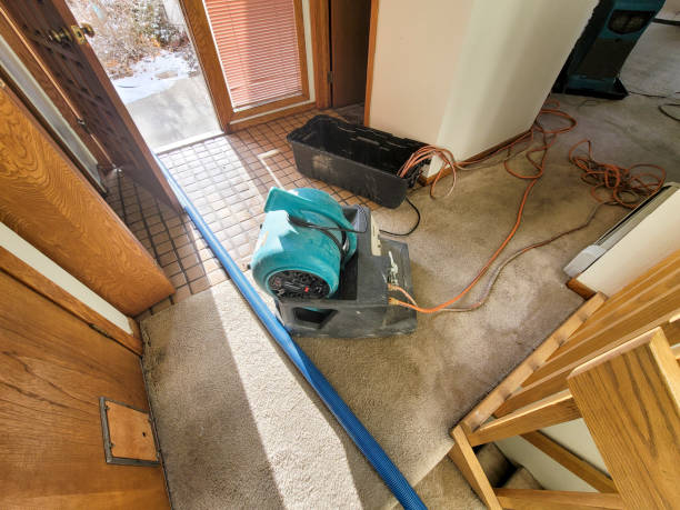 Best Commercial water damage restoration  in South Windham, CT