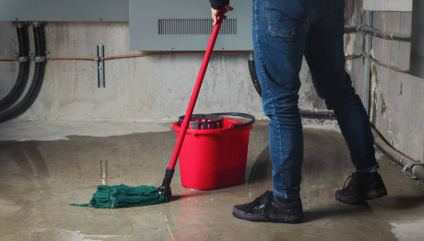 Reliable South Windham, CT Water damage restoration Solutions