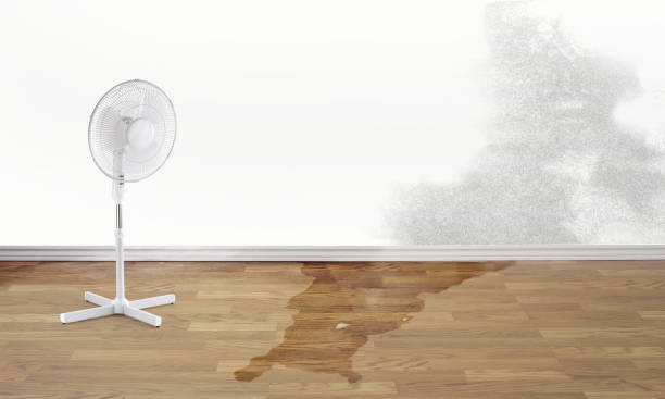 Sewage cleanup and water damage restoration in South Windham, CT