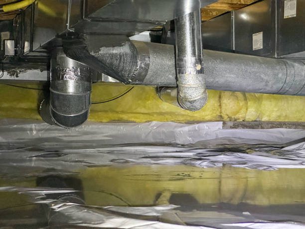 Best Ceiling water damage repair  in South Windham, CT