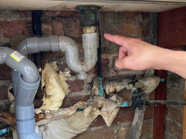 Best Local water damage restoration  in South Windham, CT