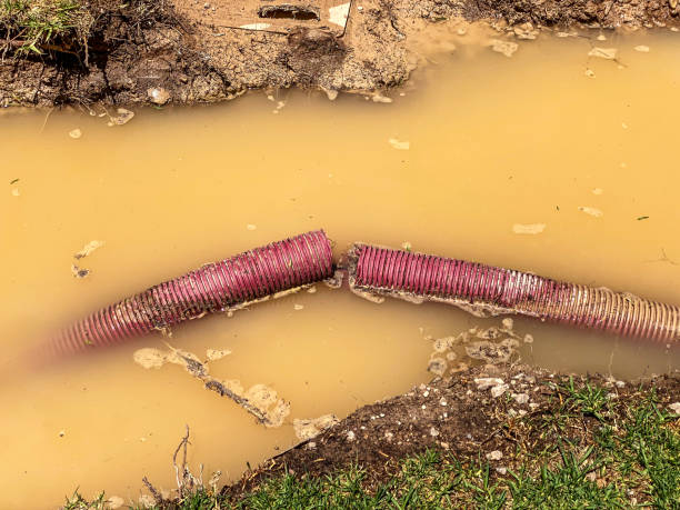 Best Water damage mitigation services  in South Windham, CT